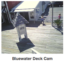 Bluewater cam.